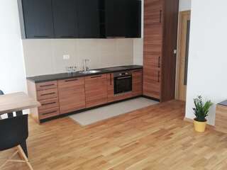 Апартаменты New Ljubovic Apartments Подгорица Апартаменты с 2 спальнями-7